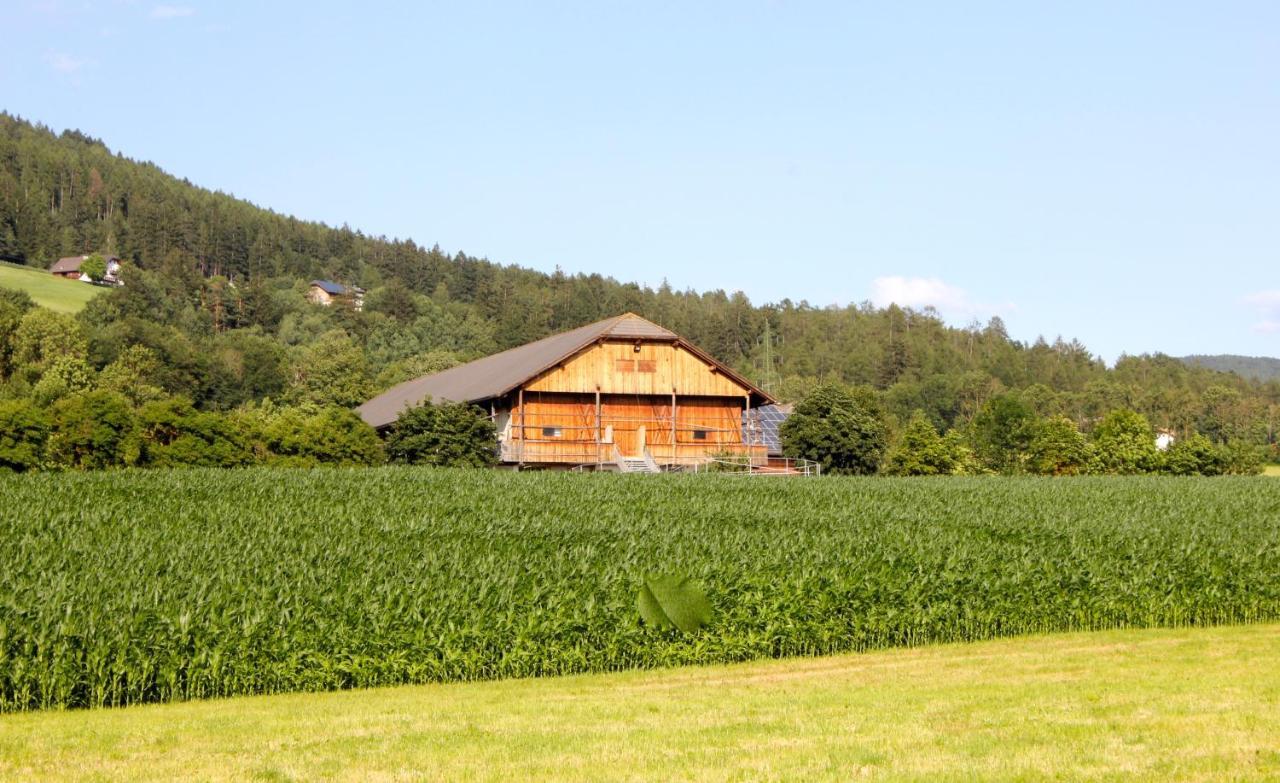 Apartamento Im Grünen mit Panoramablick auf Bruneck - Beste Lage Exterior foto