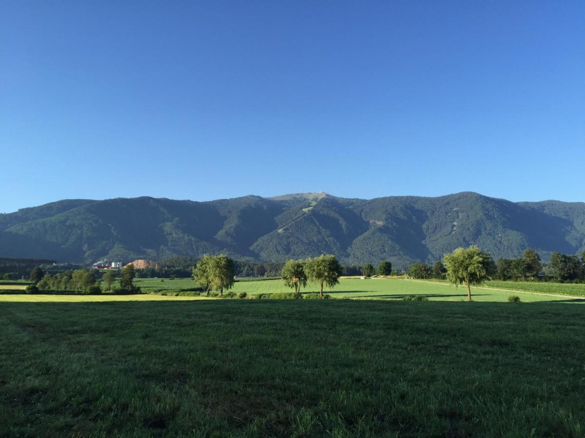 Apartamento Im Grünen mit Panoramablick auf Bruneck - Beste Lage Exterior foto